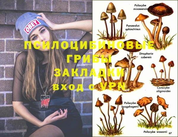 дживик Абинск