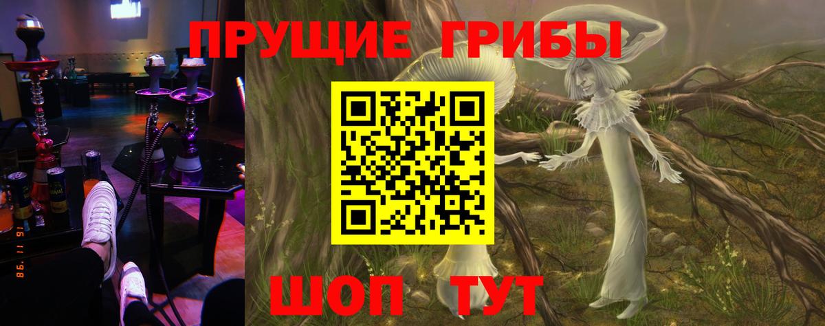 Жуковский  Псилоцибиновые грибы мухоморы  Вход с VPN 