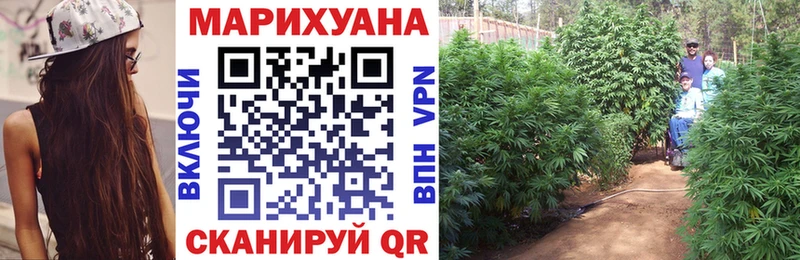 Каннабис конопля  сколько стоит  Жуковский 