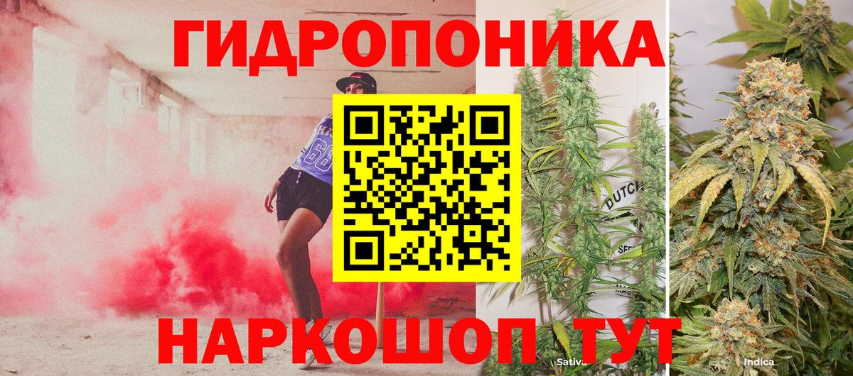 Марихуана ГИДРОПОН  Бошки Шишки план  Вход с VPN  Жуковский  Шишки марихуана OG Kush  МАРИХУАНА VHQ 